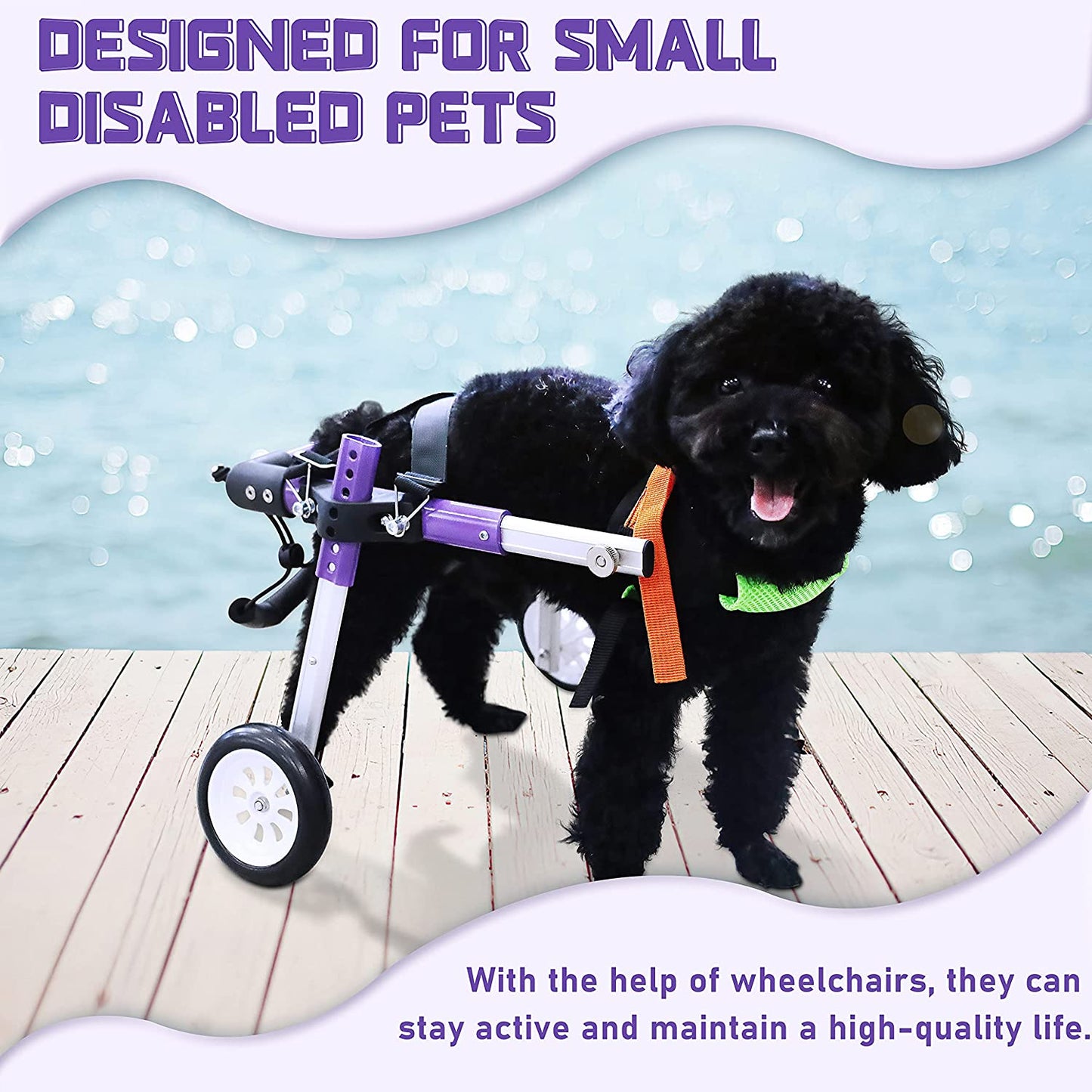 Adjustable Dog Wheelchair for Back Legs,Pet/Doggie Doggy Wheelchairs with Disabled Hind Legs Walking (XS-A)