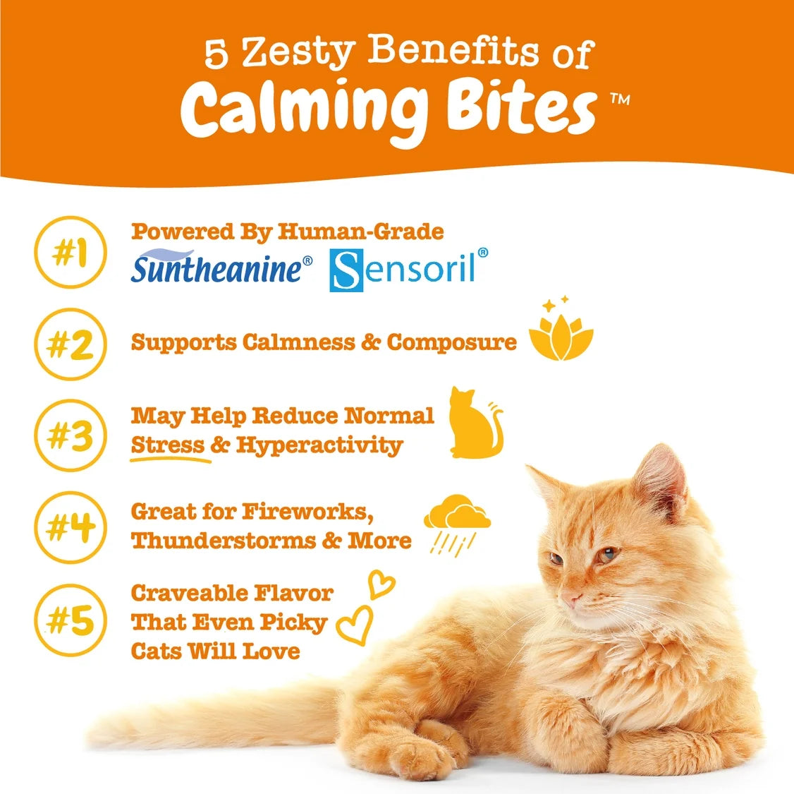 Calming Bites, Stress & Anxiety Relief Supplement for Cats, 30 Count