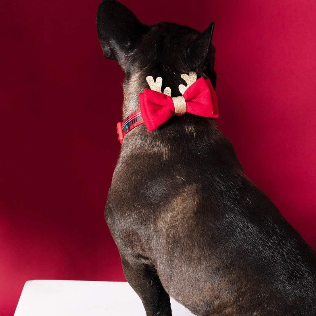 Valentines Dog Collar with Bowtie Pink Hearts Dog Collar Adjustable Size Suitable for Small Medium Large Dogs